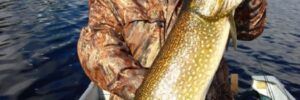Man with freshly caught Northern Pike on boat