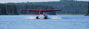 A red seaplane is taking off on a lake surrounded by dense forest under a clear blue sky.