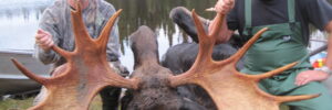 Two men pose beside a large moose with wide antlers by a lake in a forested area.