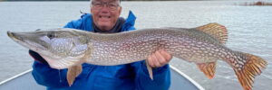 A man holds up a northern pike he caught at Mattice Lake Outfitters