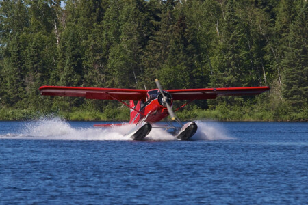 A floatplane landing on a lake